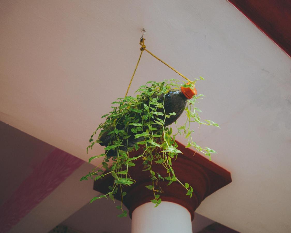 Hostelexp, Varkala - A Beach Town Hostel Екстериор снимка